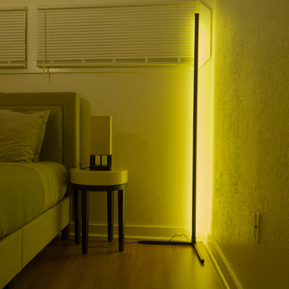 Luxelite™ Floor Lamp